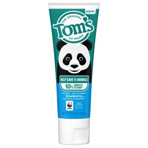 2 Toms of Maine Blueberry toothpaste 238027 front 1