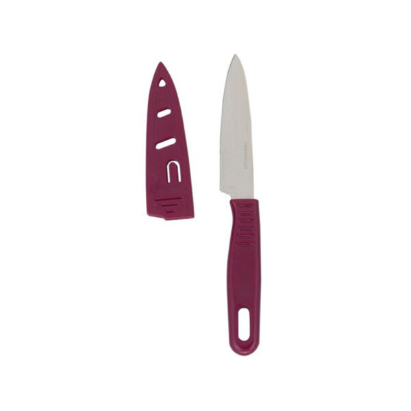 1 Helens Asian Kitchen Universal Pairing Picnic Knife Front 239446.jpg
