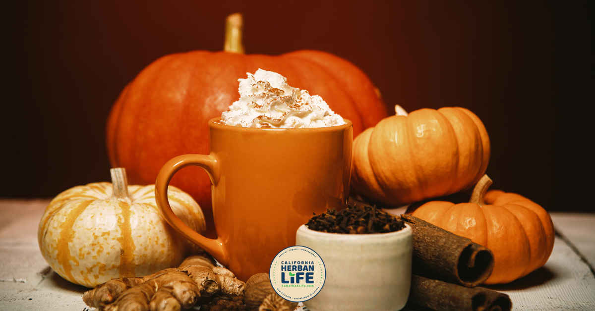 Beyond the Latte Pumpkin Spice